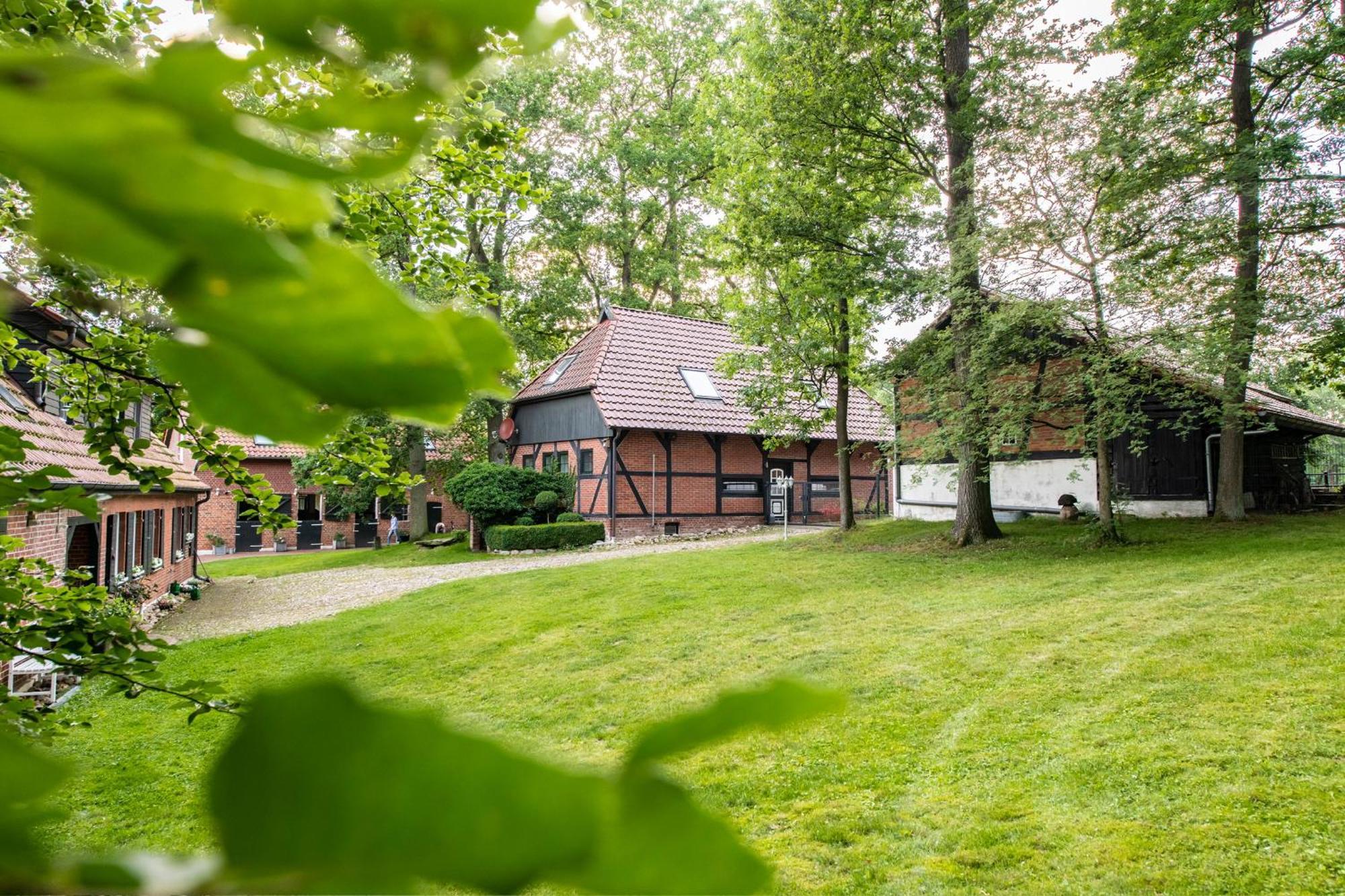 Traumhaftes Anwesen In Der Lueneburger Heide Lejlighed Soltau Eksteriør billede
