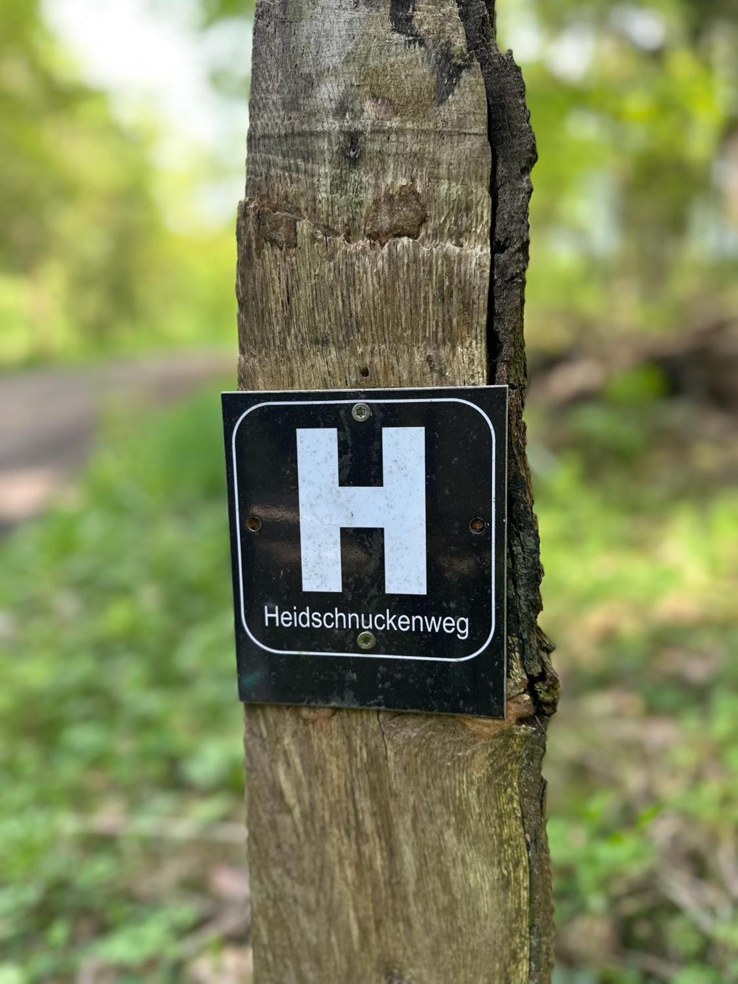 Traumhaftes Anwesen In Der Lueneburger Heide Lejlighed Soltau Eksteriør billede